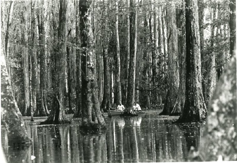 Cypress Gardens Photography Collection Historic Charleston