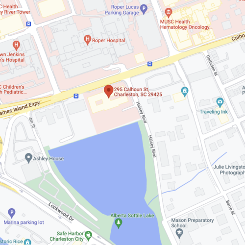 Google Map view of 295 Calhoun St