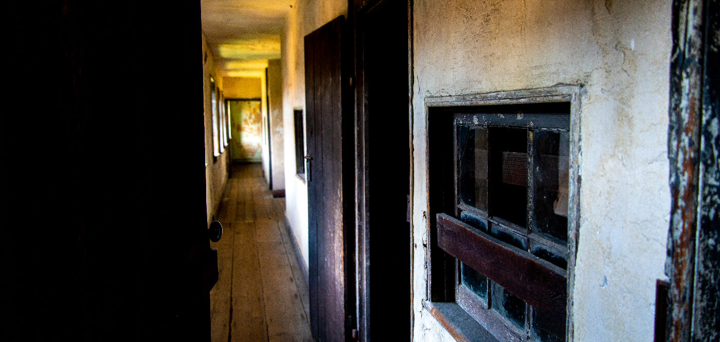 View from Enslaved Quarters at the Aiken-Rhett House Museum